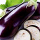 beringela